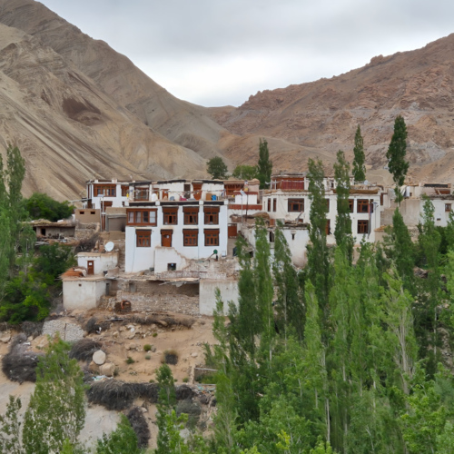 Inde Ladakh Yangthang Inde Ladakh Yangthang