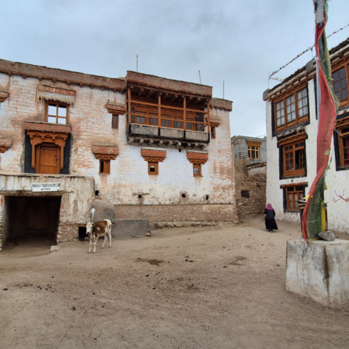 Inde Ladakh Yangthang Inde Ladakh Yangthang