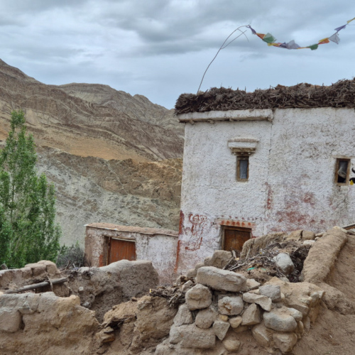 Inde Ladakh Yangthang iInde Ladakh Yangthang