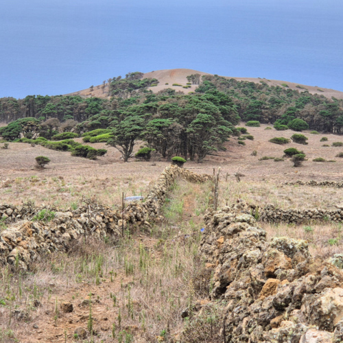 Espagne El Hierro Camino de la Virgen