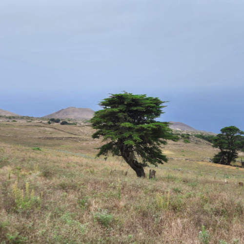Espagne El Hierro Camino de la Virgen