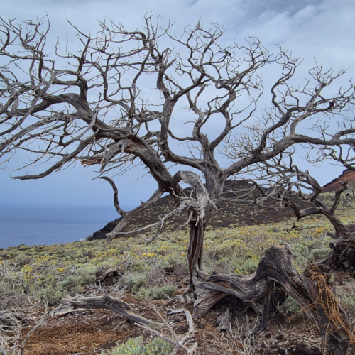 Espagne El Hierro Faro Orchilla