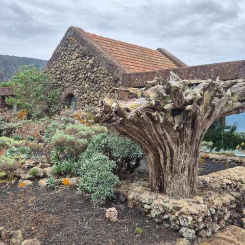 Espagne El Hierro Mirador de la Peña