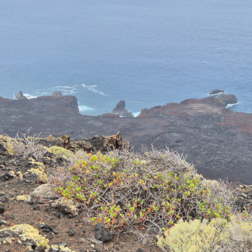 Espagne El Hierro Mirador de Lomo Negro