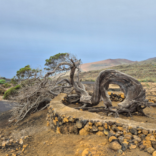 Espagne El Hierro Phare Orchilla