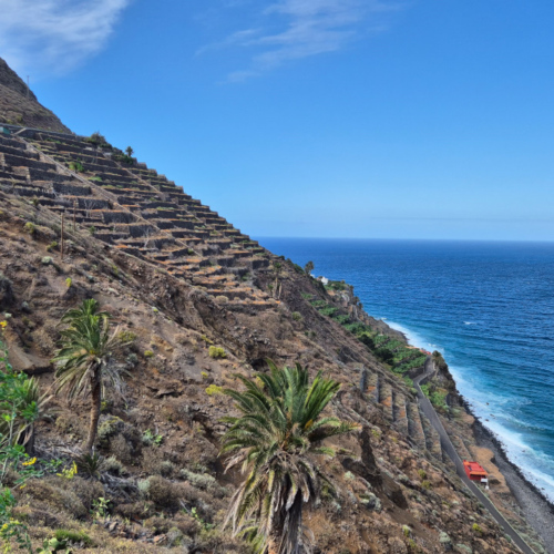 La Gomera, cultures étagées. Espagne La Goméra