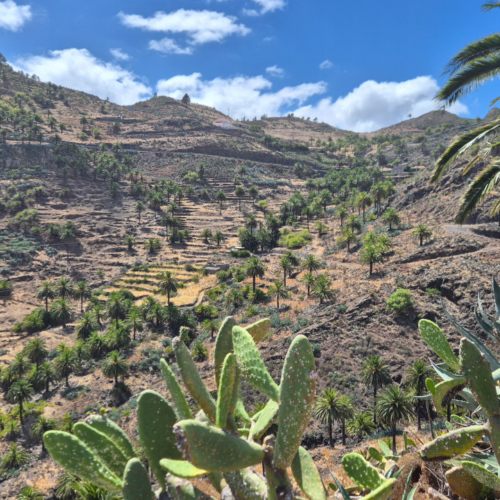 Espagne La Gomera cote sud. Vegaipala. Espagne La Gomera cote sud