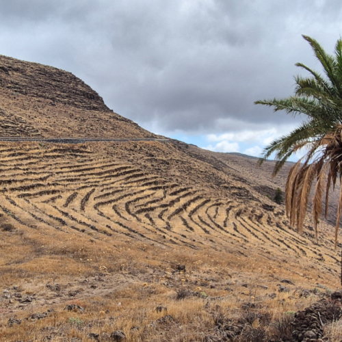 Espagne La Gomera Arguayoda Espagne La Gomera Arguayoda