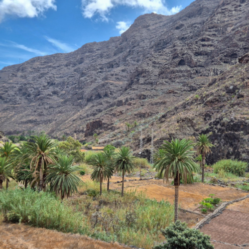 Espagne La Gomera Barranco Santiago Espagne La Gomera Barranco Santiago