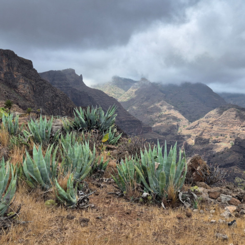 Espagne La Gomera village de Targa Espagne La Gomera Targa