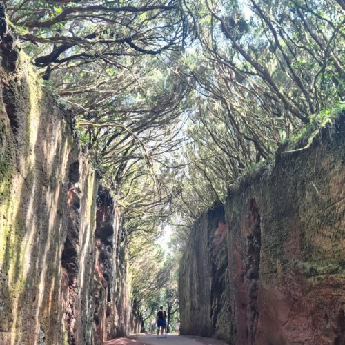 Espagne Tenerife Parc Anaga