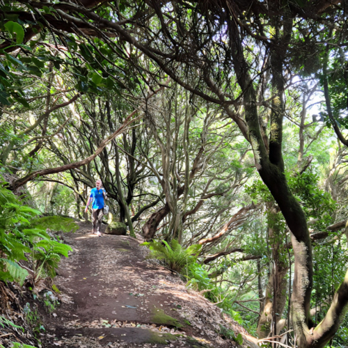 Espagne Tenerife Parc Anaga