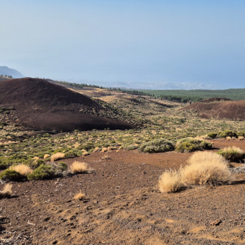 Espagne Tenerife Le Teide