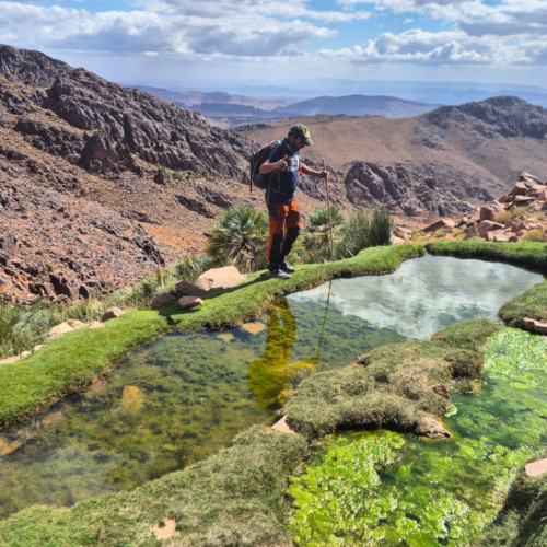 Une jolie source, de la verdure entourée de désert. Maroc Djebel Saghro jour 2