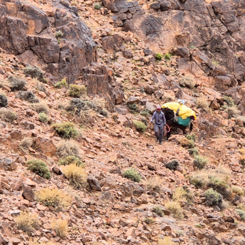 Hamou a recouvert le chargement de la mule car il pleut légèrement. Maroc Djebel Saghro jour 3