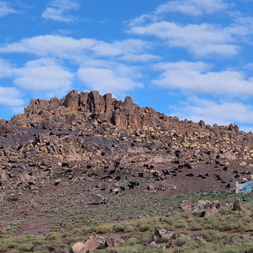 Campement de nomades et leur troupeau de chèvres. Maroc Djebel Saghro jour 5