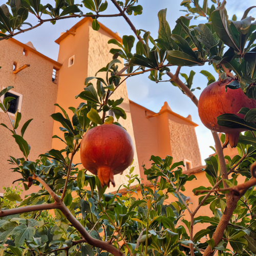 Maroc N'Kob, hôtel La Perle de Saghro. Maroc N'Kob Jour 6